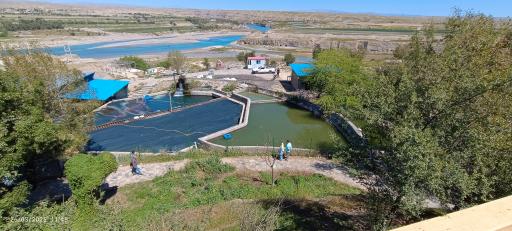 عکس باغ وحش دز