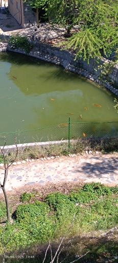 عکس باغ وحش دز