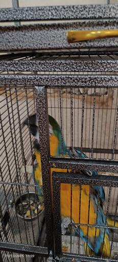 عکس باغ وحش دز