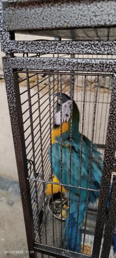 عکس باغ وحش دز