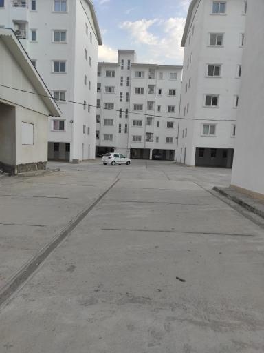 عکس مجتمع گلایل 