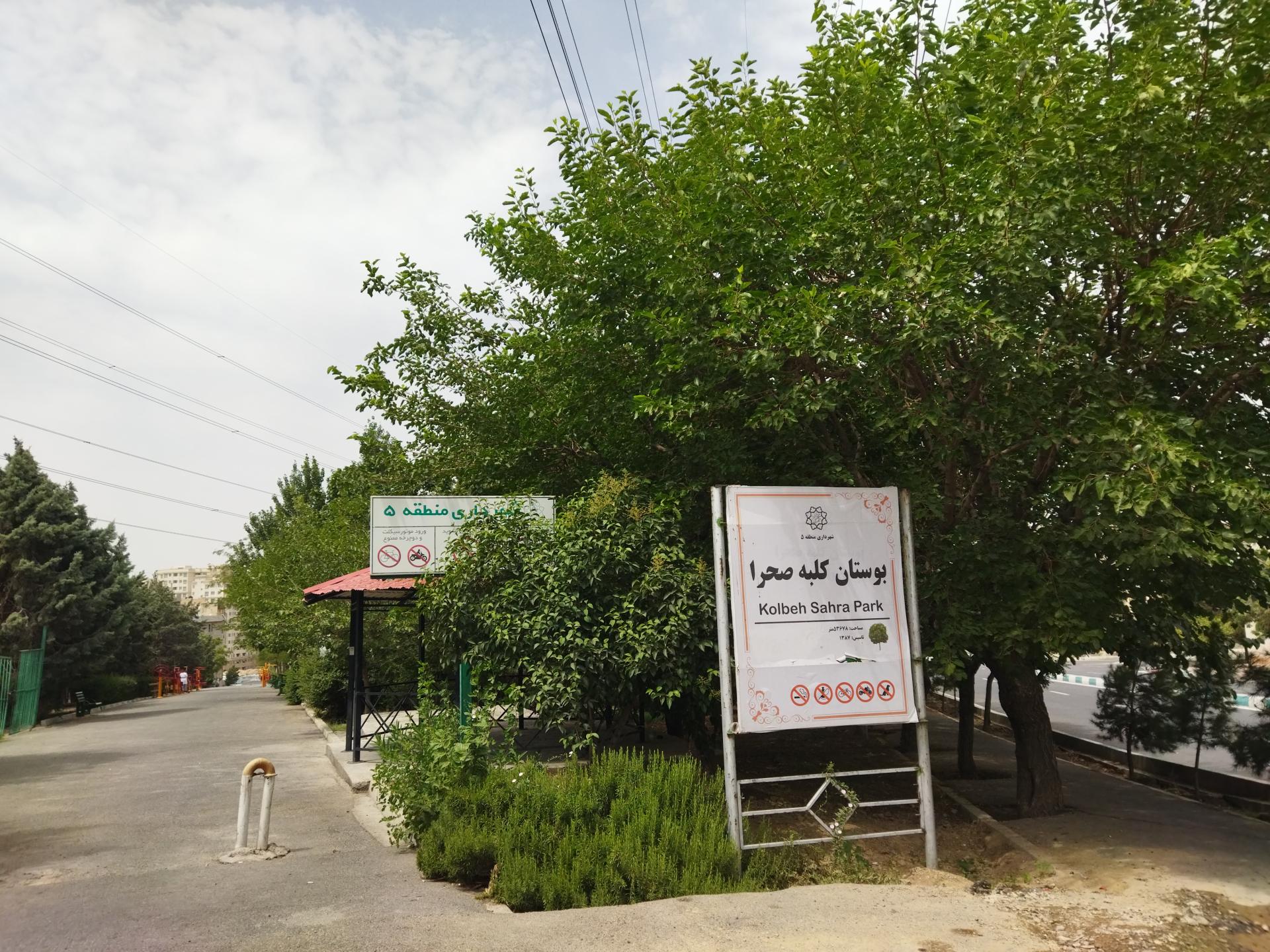 عکس بوستان جنگلی کلبه صحرا