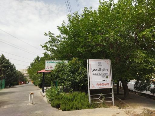 عکس بوستان جنگلی کلبه صحرا