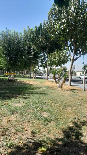 عکس پارک نغمه