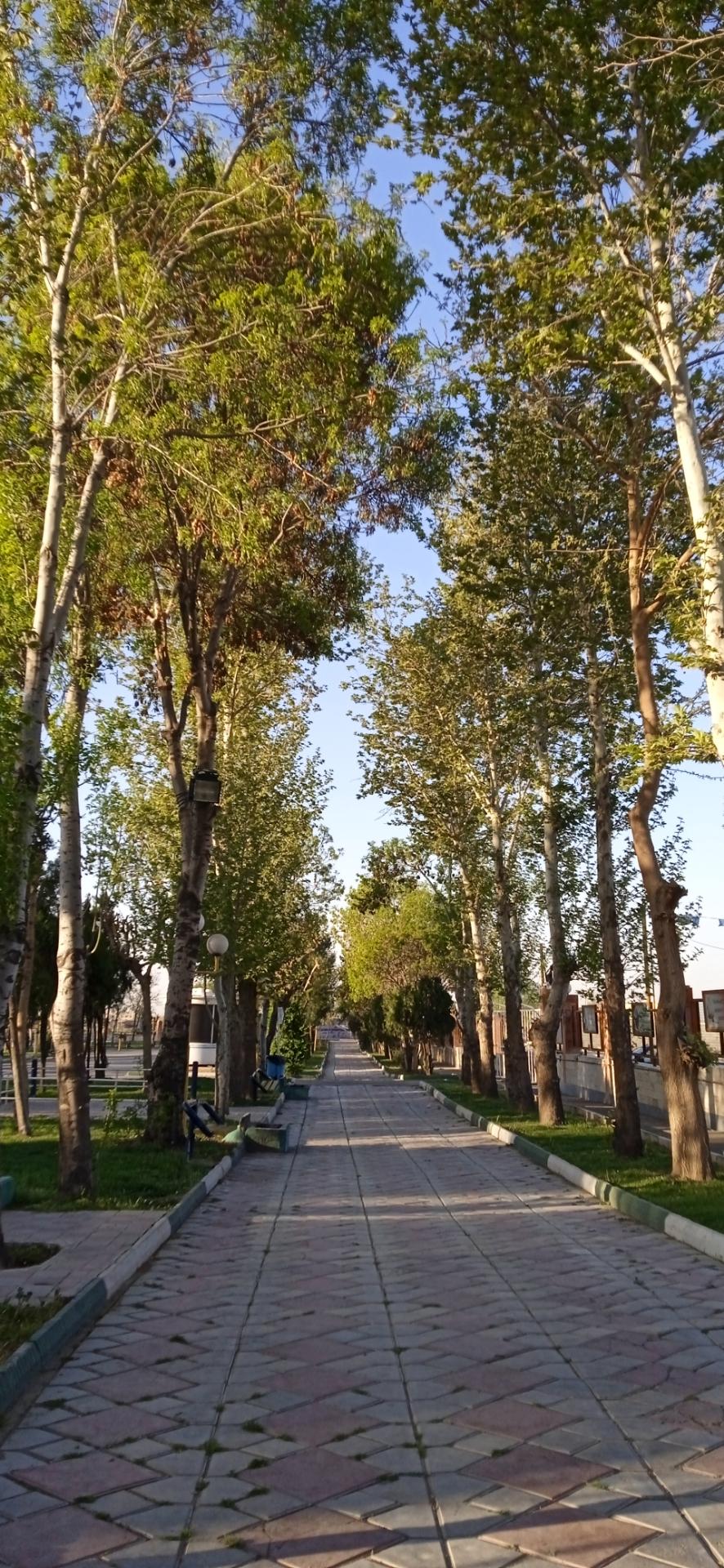 عکس بوستان شقایق