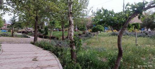 عکس پارک خلیج فارس