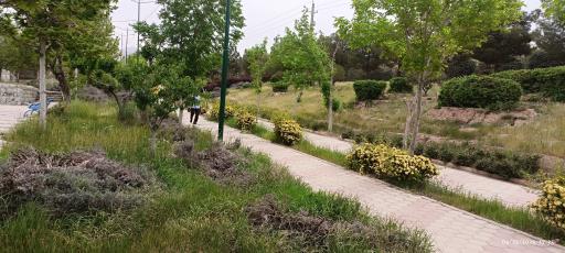 عکس پارک خلیج فارس