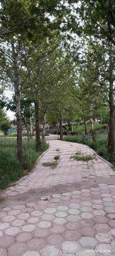 عکس پارک خلیج فارس