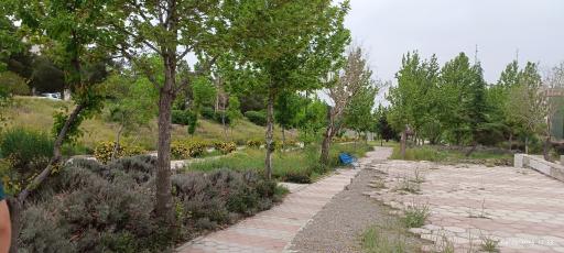 عکس پارک خلیج فارس