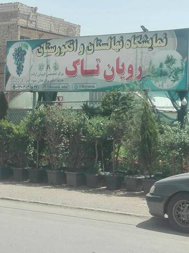 نمایشگاه نهالستان و انگورستان