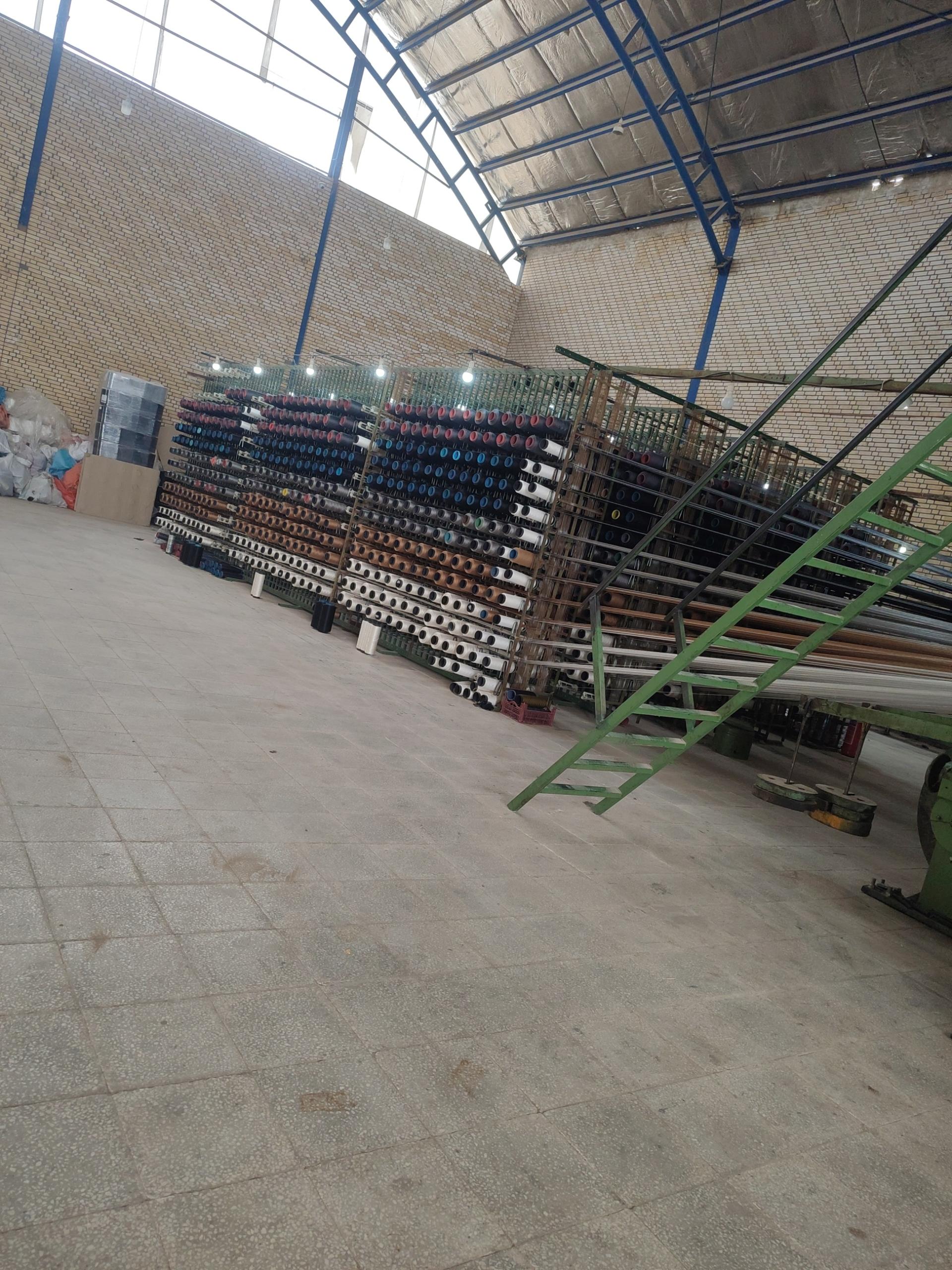 عکس رسام نقش ویگل 