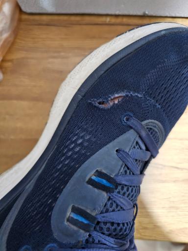 عکس فروشگاه کفش اسکچرز