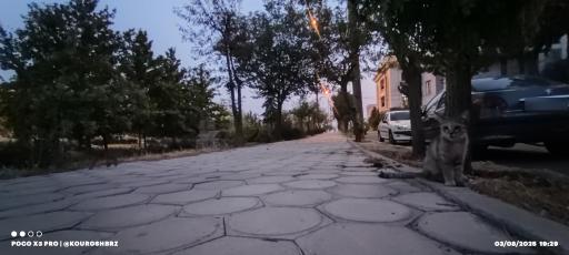 عکس پارک خلیج فارس