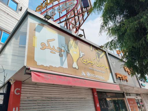 عکس چیکو کیلویی