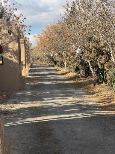 عکس رستوران باغ رویایی زیتون