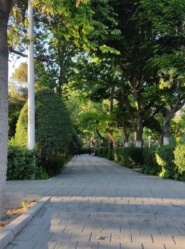 عکس بوستان رسالت