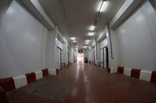 عکس سردخانه زردباله