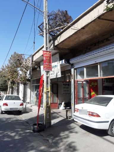 عکس جلوبندی سازی وحید