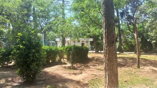 عکس بوستان جوادیه