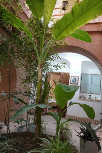 عکس اقامتگاه بومگردی خانه‌ی مانَک