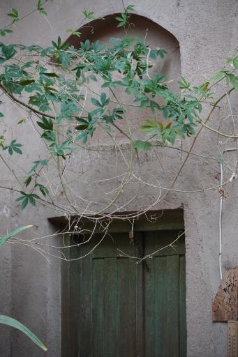 عکس اقامتگاه بومگردی خانه‌ی مانَک