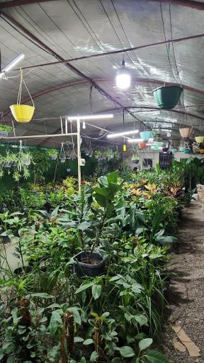 عکس اقامتگاه بومگردی خانه‌ی مانَک