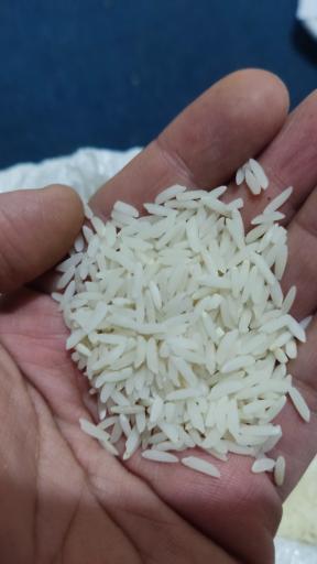 عکس برنج گیاهبان