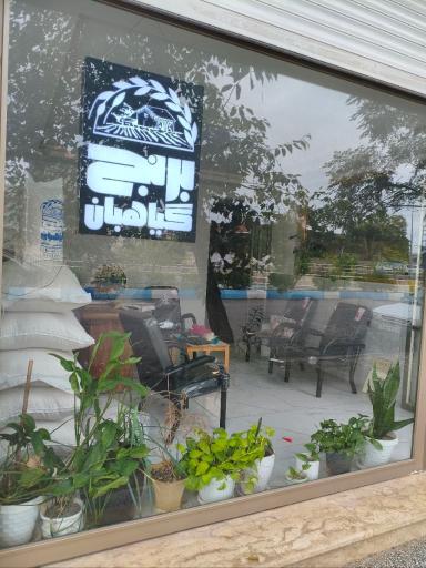 عکس برنج گیاهبان