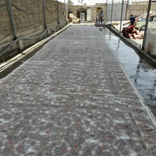 عکس گروه کارخانه قالیشویی داریوش