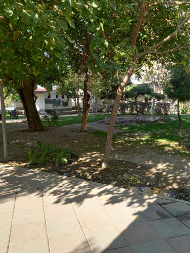 عکس پارک ولیعصر 