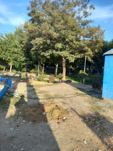 عکس پارک ولیعصر 