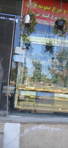 عکس مرغ فروشی نمونه