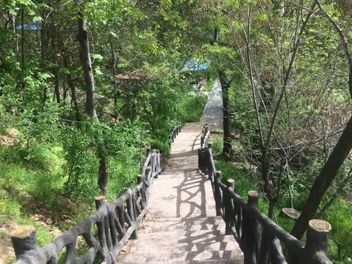 عکس اردوگاه فرهنگی تربیتی الزهرا (س)