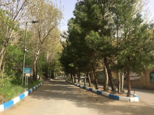 عکس اردوگاه فرهنگی تربیتی الزهرا (س)