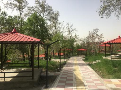 عکس اردوگاه فرهنگی تربیتی الزهرا (س)