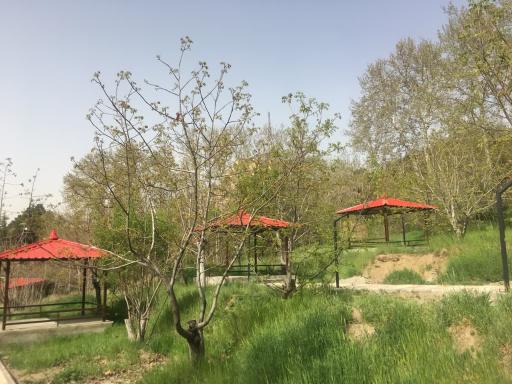 عکس اردوگاه فرهنگی تربیتی الزهرا (س)