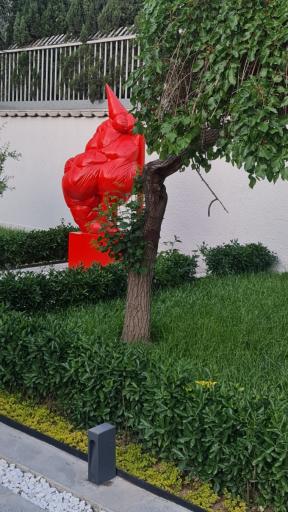 عکس گالری کیمن