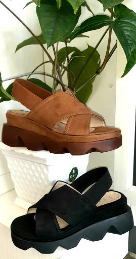 عکس کفش افه