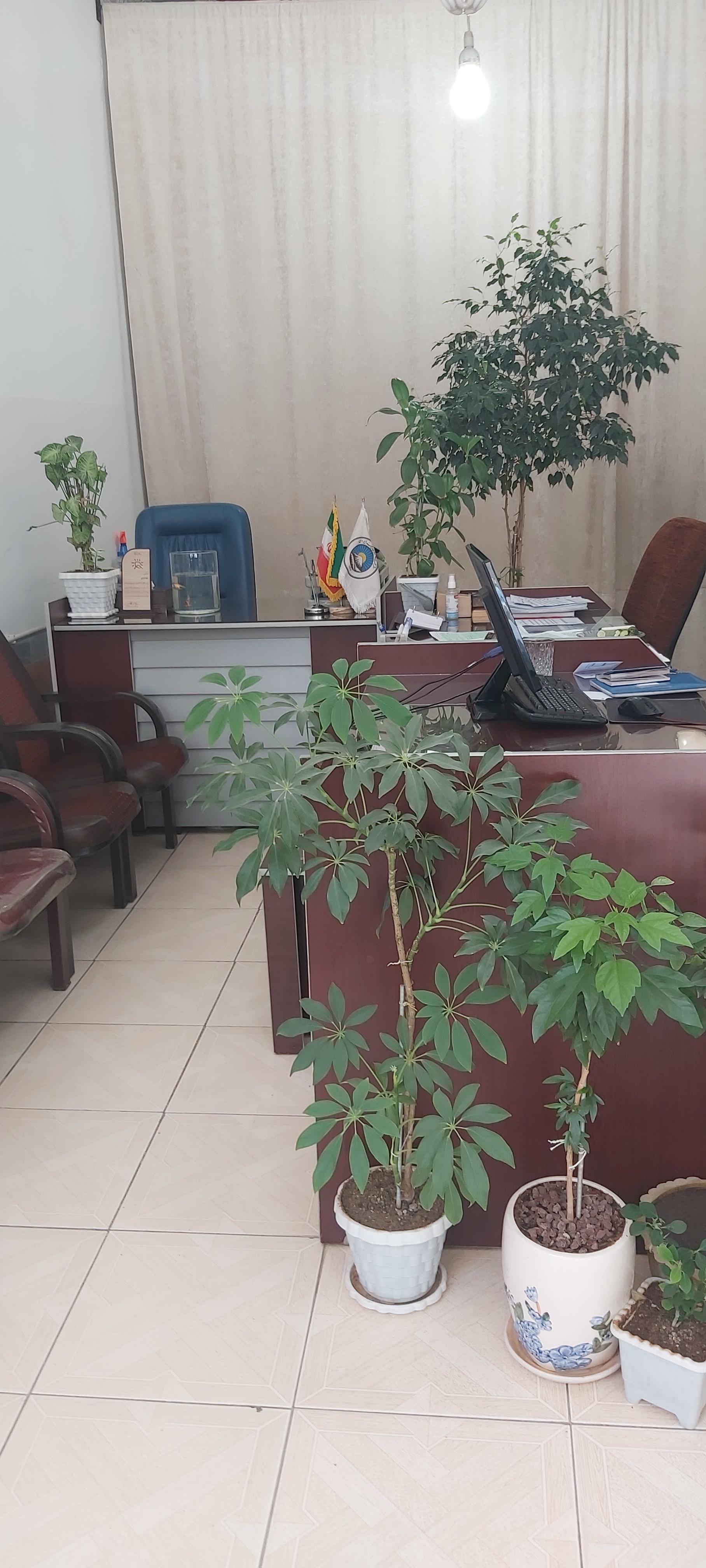 عکس نمایندگی بیمه ایران