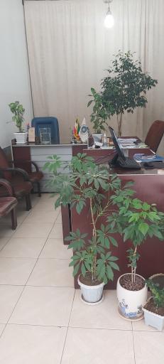 عکس نمایندگی بیمه ایران