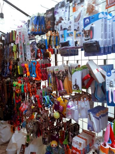 عکس پت شاپ بانی