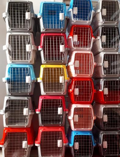 عکس پت شاپ بانی