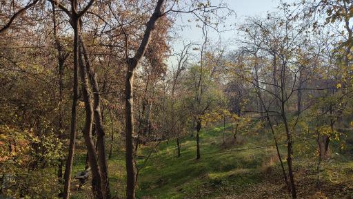 عکس اردوگاه فرهنگی تربیتی الزهرا (س)