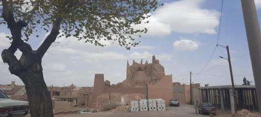 عکس نارین قلعه
