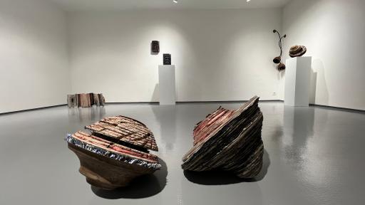 عکس گالری کیمن