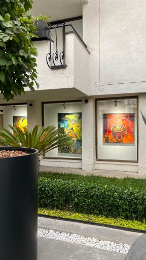 عکس گالری کیمن