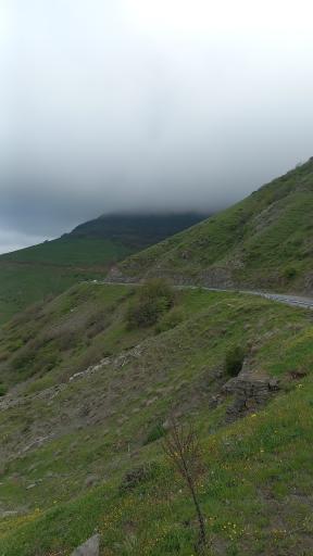 عکس کلیبر