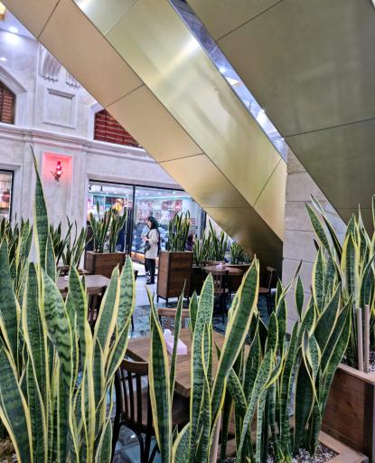 عکس مجتمع تجاری اداری پادرا