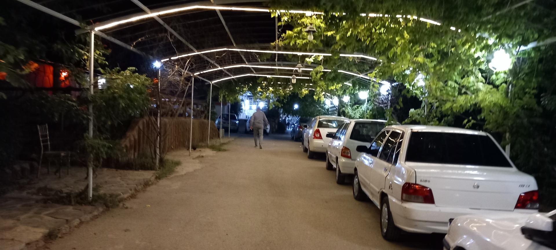 عکس باغ تالار نیلوفر آبی 