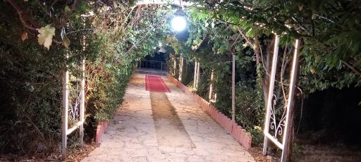 عکس باغ تالار نیلوفر آبی 